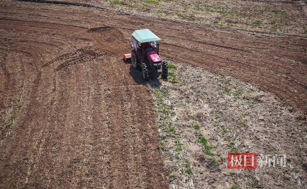 拖拉機、收割機、插秧機、無人機……美女農(nóng)機手樣樣在行:插秧機
