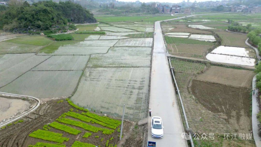 這機(jī)器太頂用了<strong></p>
<p>插秧機(jī)
</strong>！環(huán)江種糧大戶點(diǎn)贊無人駕駛插秧機(jī):插秧機(jī)
