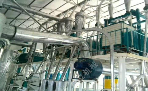日產(chǎn)100噸一機多用玉米綜合加工設備，吉林自動一體化玉米碴子制糝機:玉米收獲機