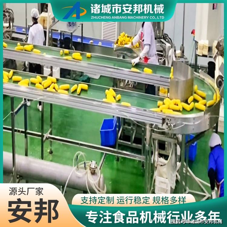 新式鮮食玉米清洗機 自動化玉米扒皮清洗流水線:玉米收獲機