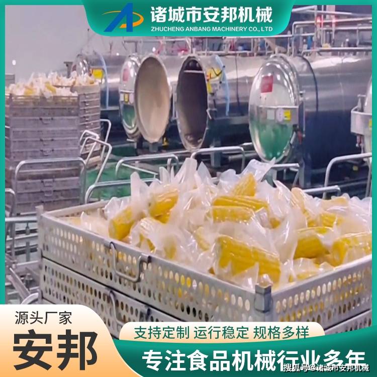 新式鮮食玉米清洗機 自動化玉米扒皮清洗流水線:玉米收獲機
